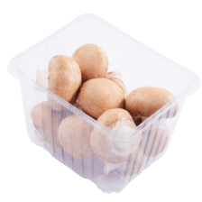 Kastanje champignons